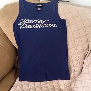 Harley Davidson, large, blue with sequins.